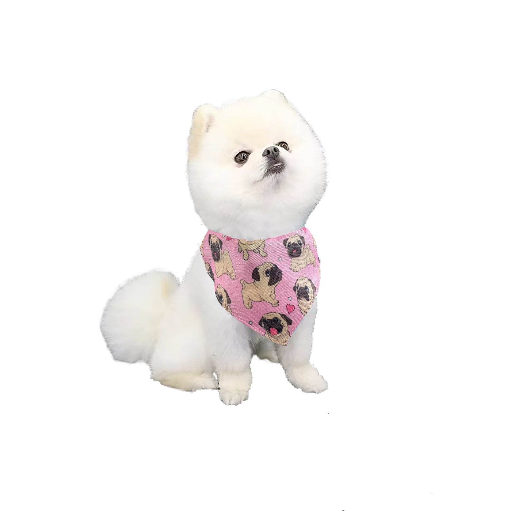 Printed Everyday Pet Bandana